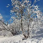 Nydelig Utsikt, In Out, 3 Soverom Aurdal