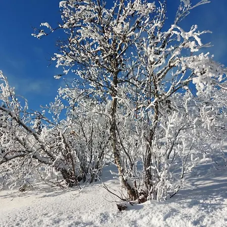 Nydelig Utsikt, In Out, 3 Soverom Aurdal
