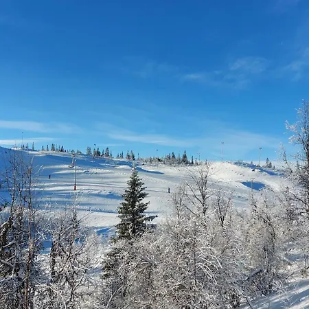 Nydelig Utsikt, In Out, 3 Soverom Hébergement de vacances Aurdal