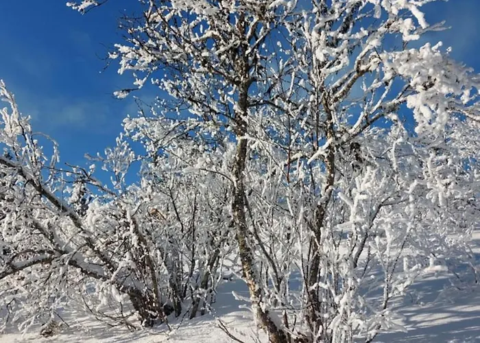 Nydelig Utsikt, In Out, 3 Soverom Aurdal