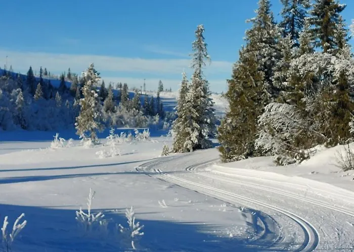 Nydelig Utsikt, In Out, 3 Soverom Tatil Evi *