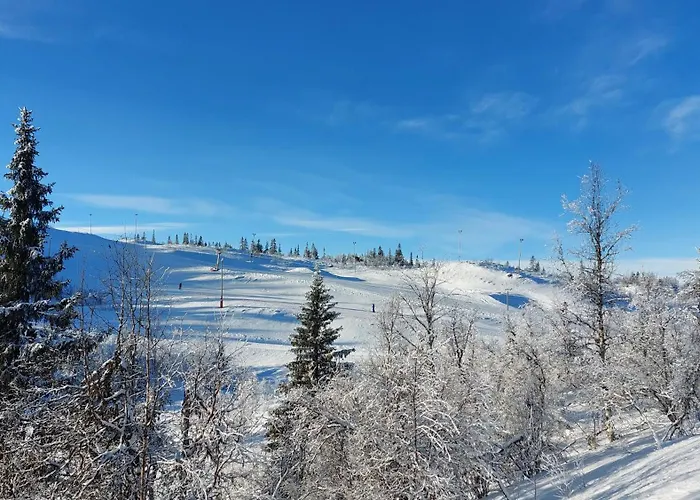 Nydelig Utsikt, In Out, 3 Soverom Tatil Evi Aurdal